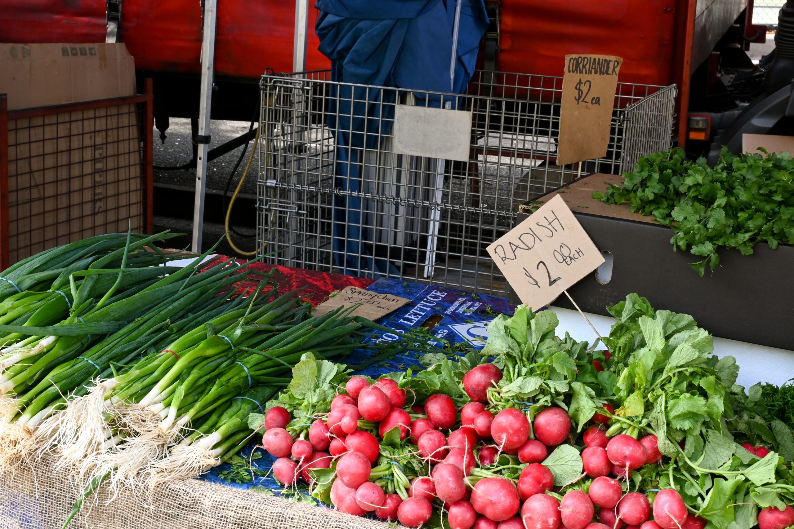 Exploring Melbourne’s Farmers Markets: A Guide to Fresh and Local Delights
